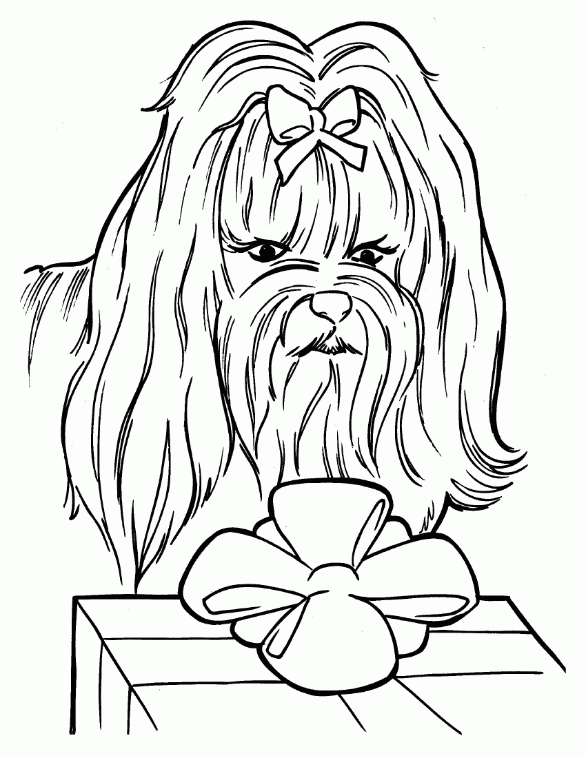 Kolorowanka Pies z Prezentem - Kreatywna Zabawa dla Dzieci kolorowanka do druku